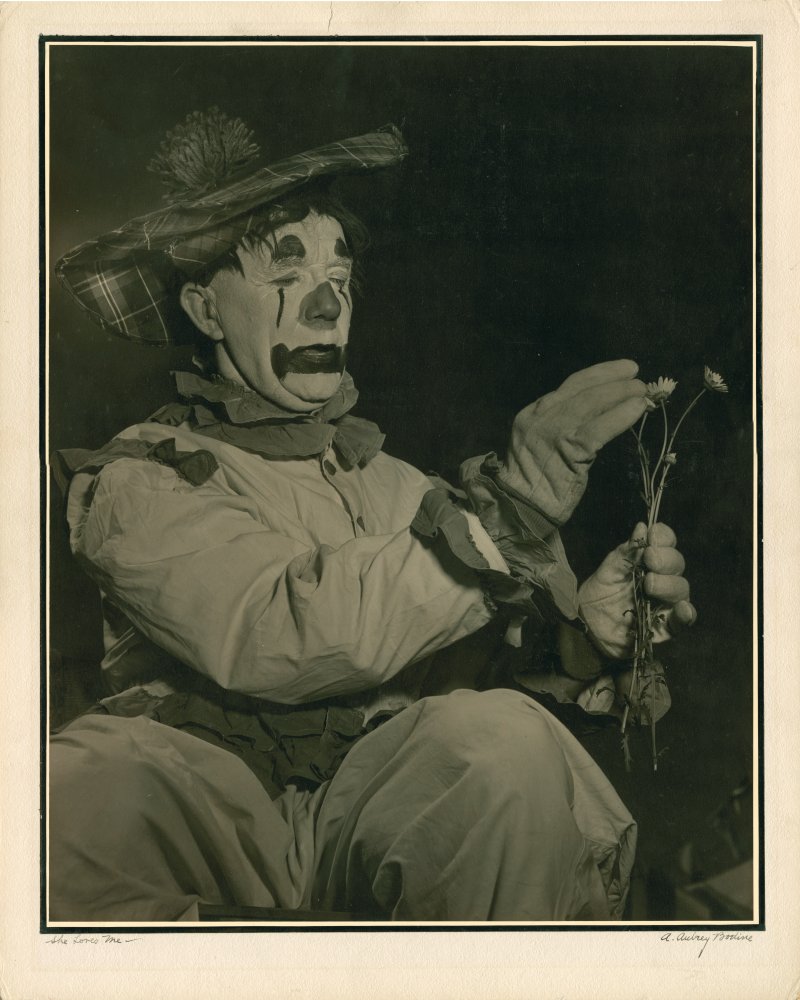 Click for larger image